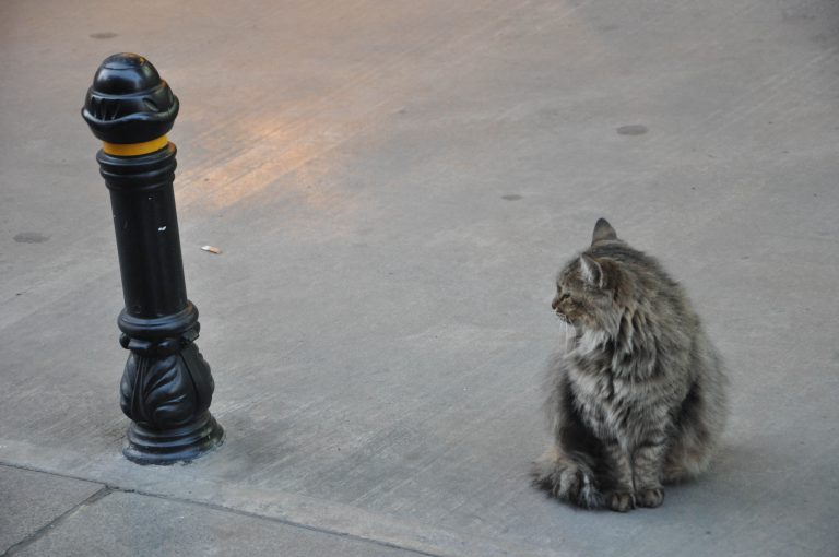 Istanbul_DSC_0083