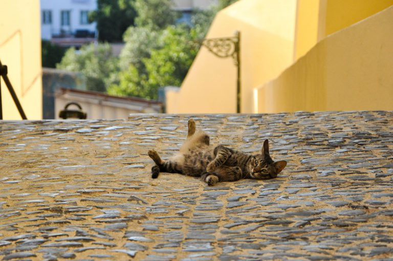 Lisbon_DSC_3345