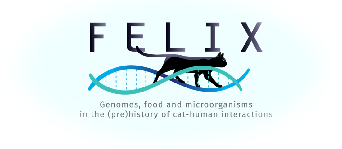 https://www.ercfelix.com/wp-content/uploads/2021/10/FELIX-HOME-e1633349427430.png