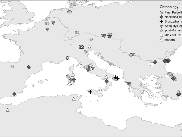 https://www.ercfelix.com/wp-content/uploads/2025/08/Risorsa-1-640x480.png