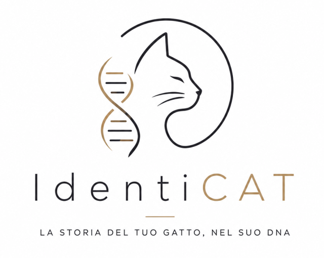 logo_v1 https://www.ercfelix.com/wp-content/uploads/2026/10/logo_v1-e1792171572815-640x510.png